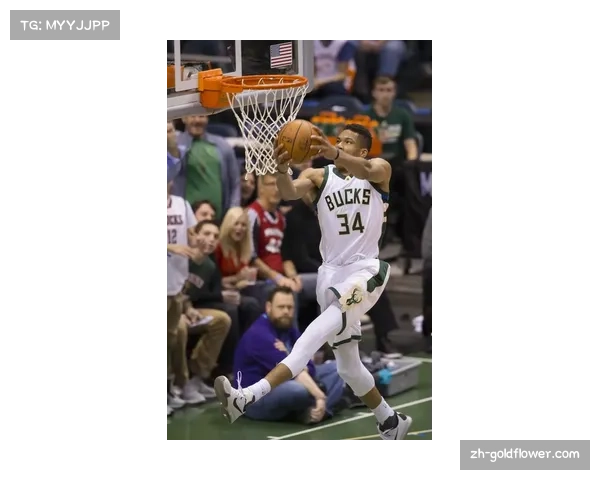 字母哥肌肉冲击型打法 持续统治雄鹿进攻体系